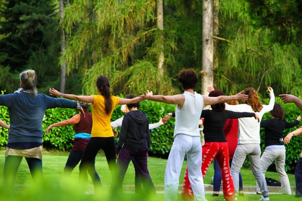 Cours de QiGong de septembre à juin